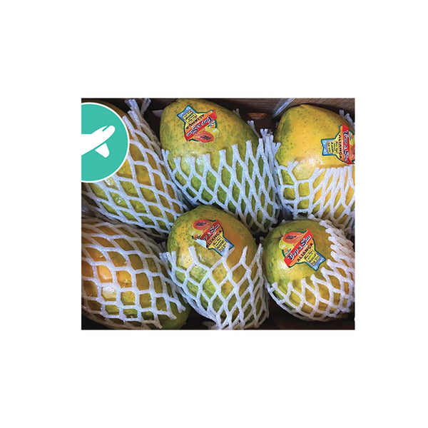 papaya様 SMALL Papaya IN box – Al Premium Food Mart - McCowan