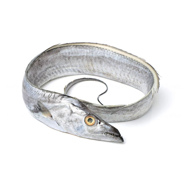 Metal Fish Belt -  Australia