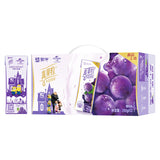 Mn Yogurt Beverage(grape