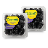 Driscoll'S Blackberries