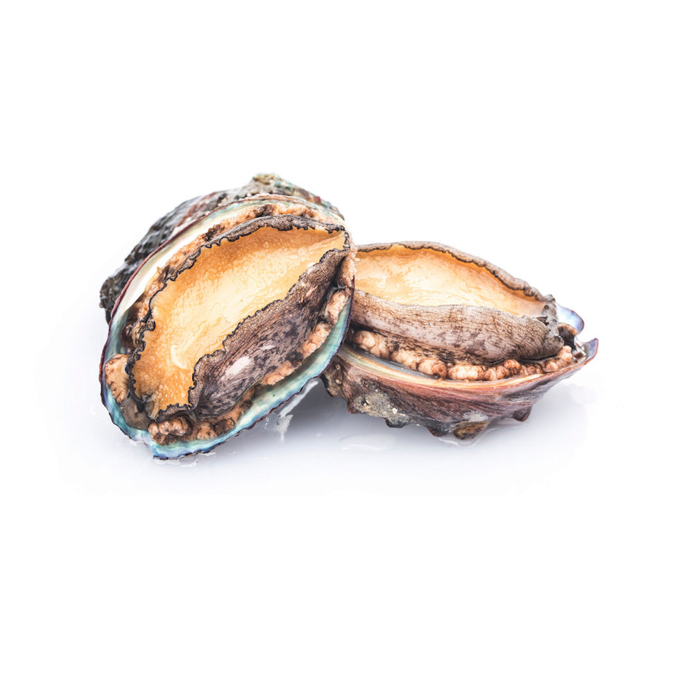 Frozen Abalone Fresh Al Premium Food Mart McCowan