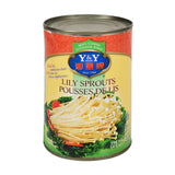 Y&Y Lily Sprouts