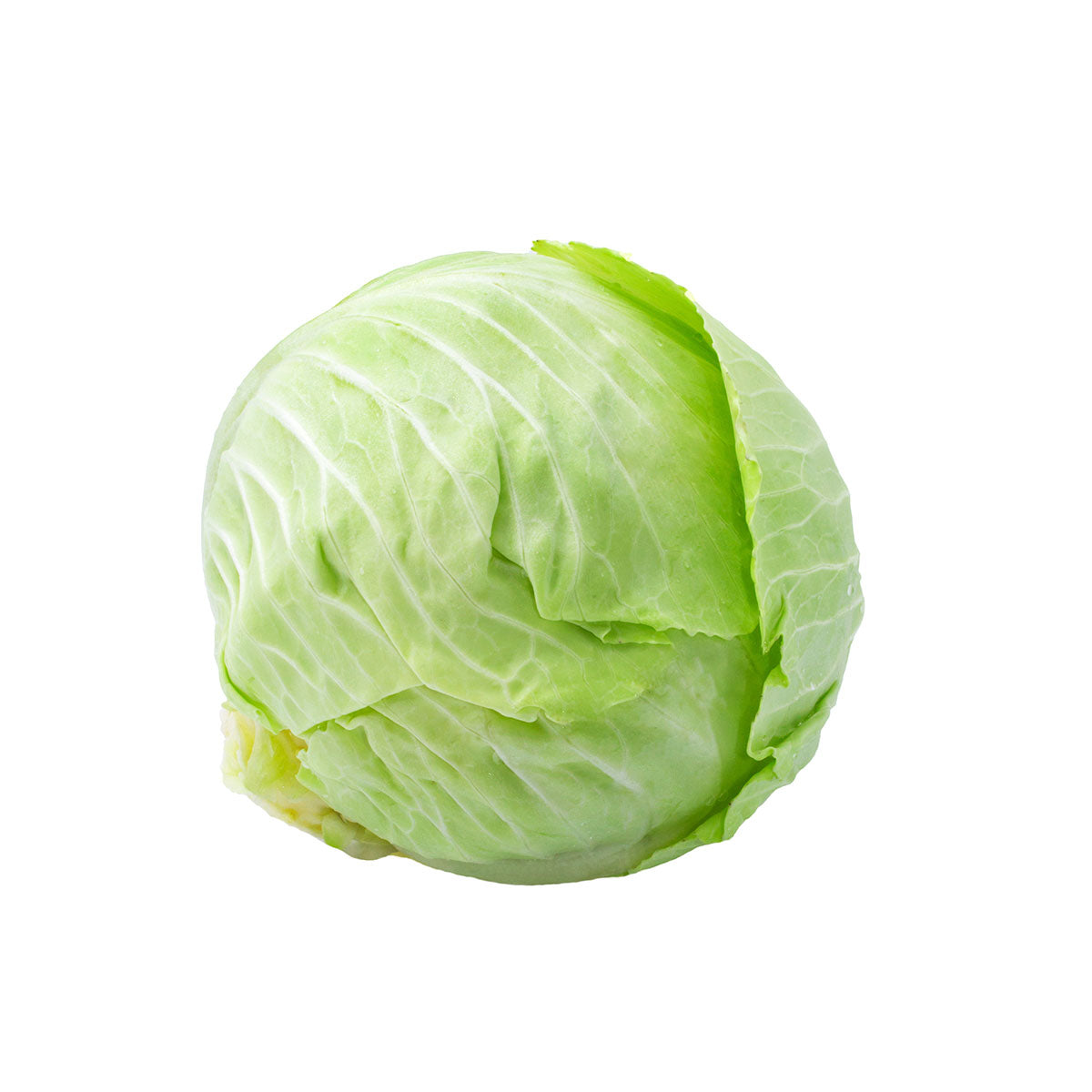 GREEN LEAF LETTUCE – Al Premium Food Mart - McCowan