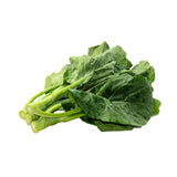 Chinese Broccoli (Gailan)
