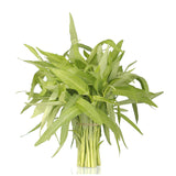 Water spinach - White